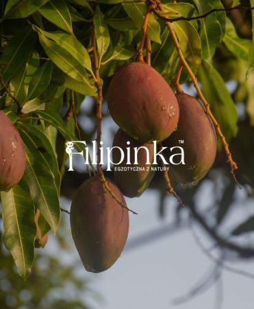 Filipinka MANGO (4).jpg