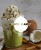 Coco Planet Coconut milk&amp;water drink (4).jpg