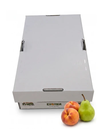 Exotica tutti frutti gruszka, brzoskwinia, winogron (8).png