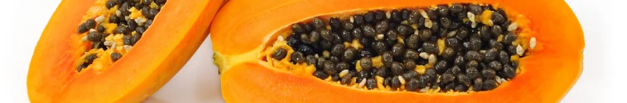 papaja Filipinka