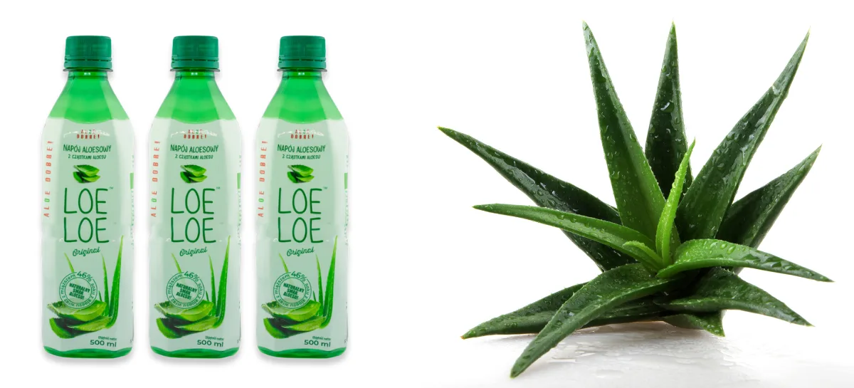 Aloes do picia – hit TikToka czy realne wsparcie dla organizmu?