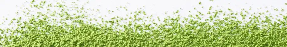 matcha proszek